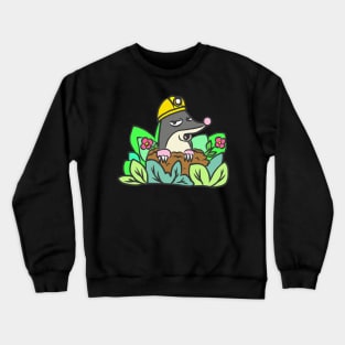 Mole Gardener Animal Funny Garden Gift Cool Crewneck Sweatshirt